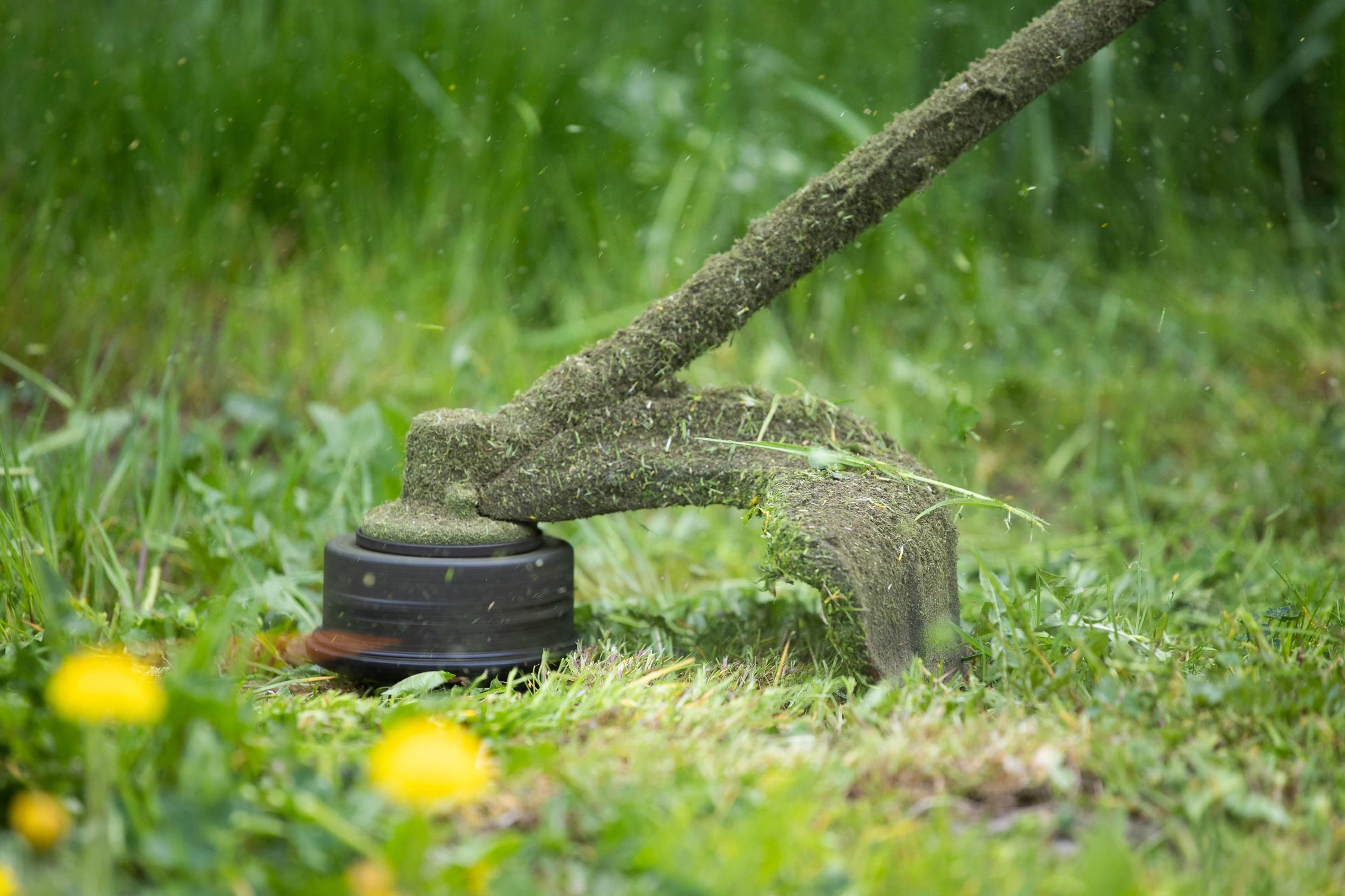 Débroussailleuse en action sur un terrain envahi