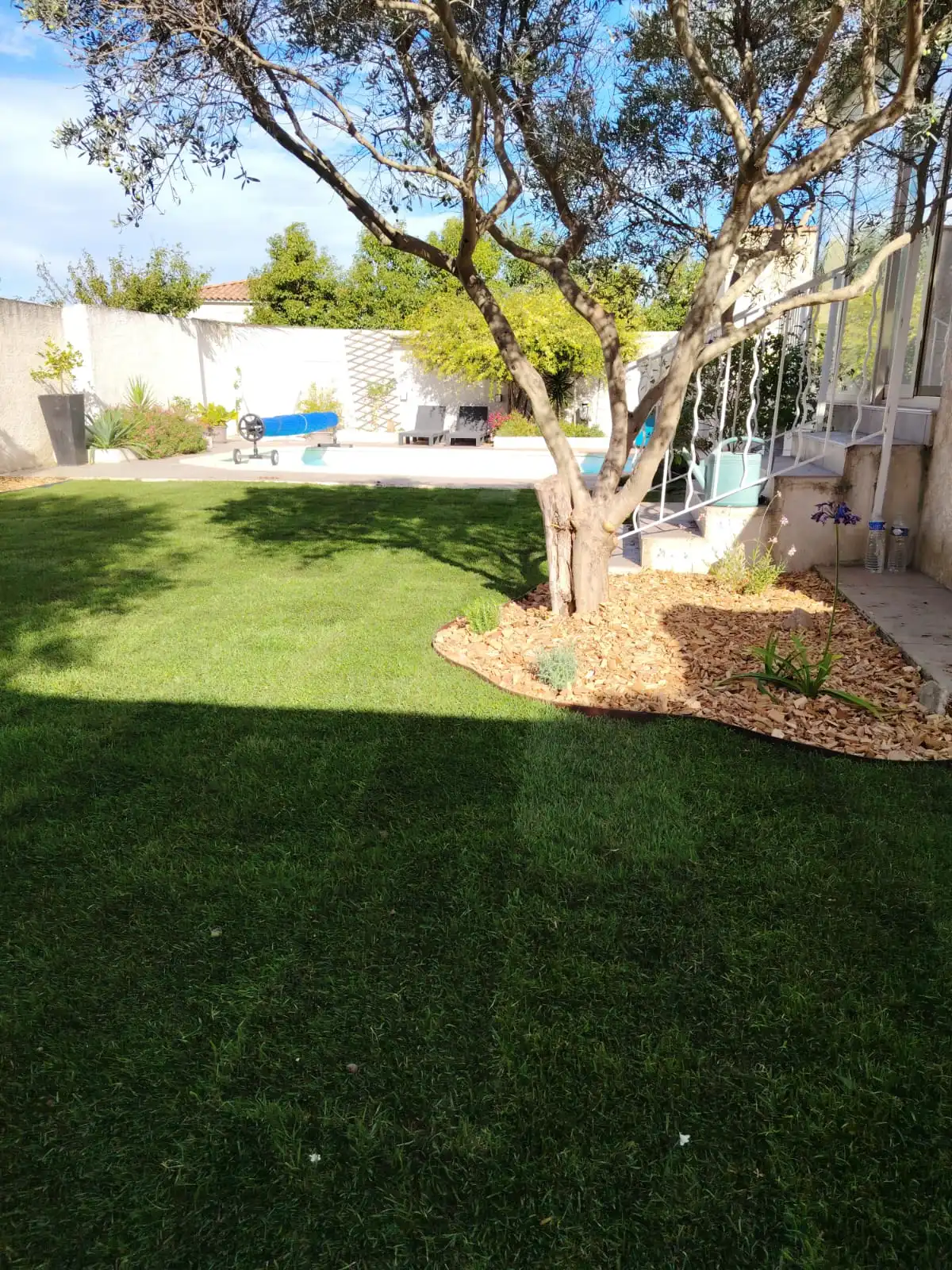 Petit jardin marseillais contemporain organisé autour d'une terrasse