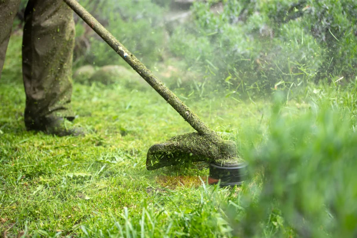 Services de paysagisme